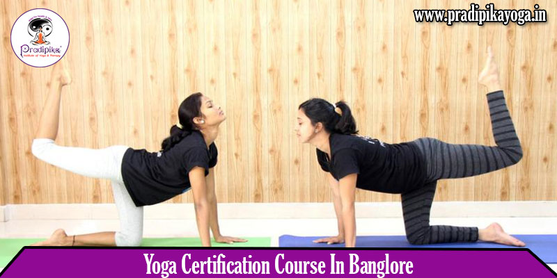 Is yoga certification course for you? Find out